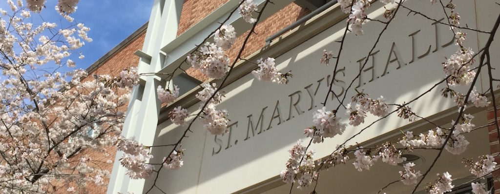 St. Mary's Hall's west entrance surrounded by blossoming cherry trees
