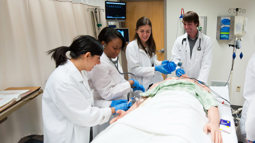 Students work in the simulation lab