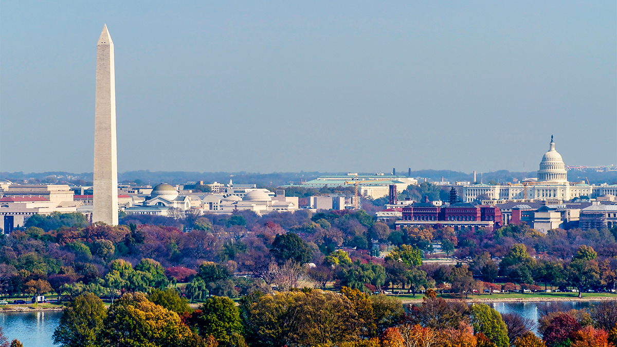 A view of the Washington Monument and other icons of the DC city skyline
