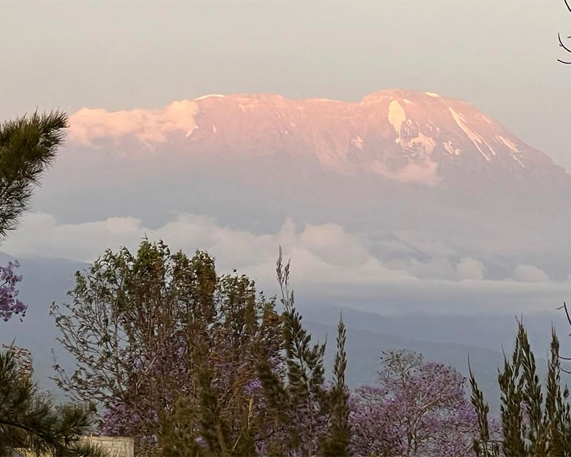 Mt. Kilimanjaro