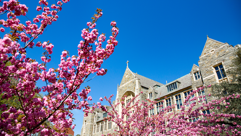 A campus building is framed by the blooms of crabapple trees