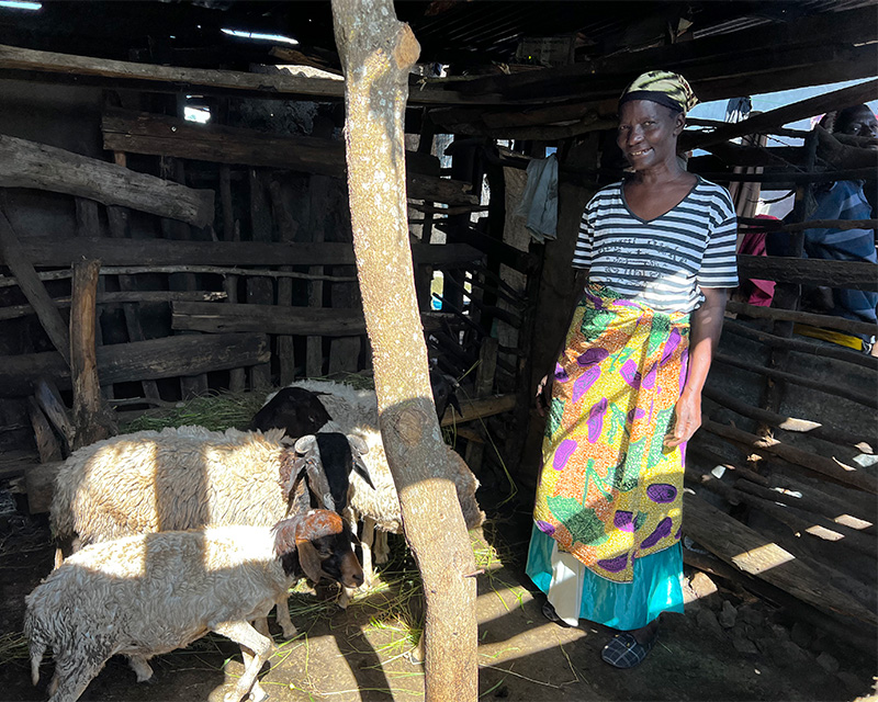A Tanzanian woman stands with her three goats in a wooden structure