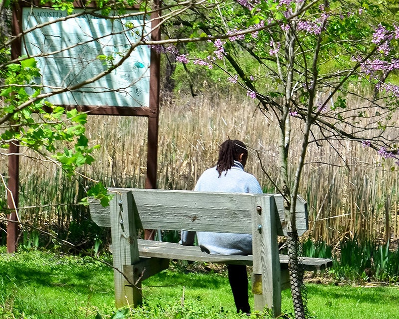 A person sits on a bench in Kenilworth Aquatic Park amid greenery