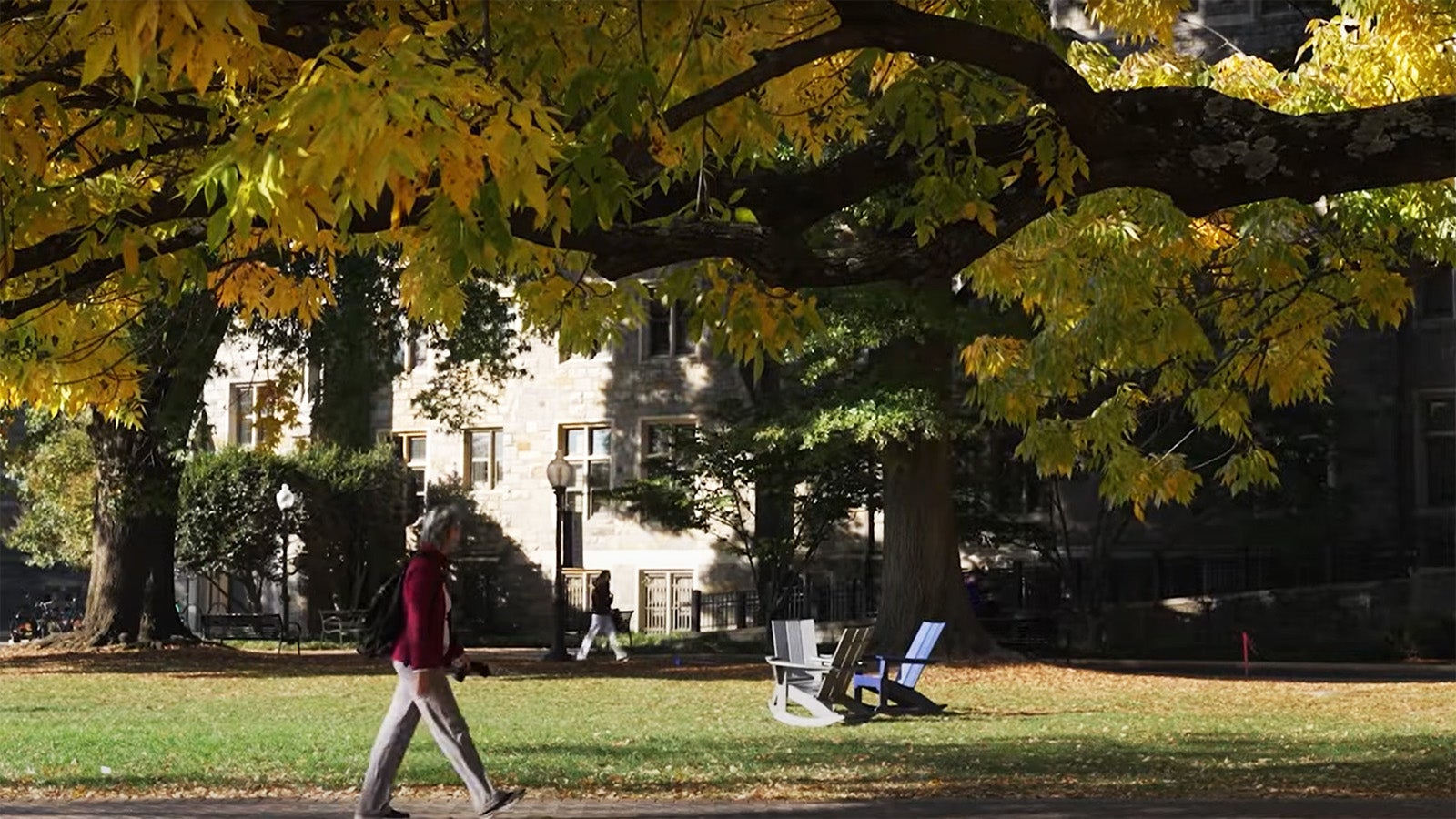 A student walks through campus with the fall leaves on the trees in the background