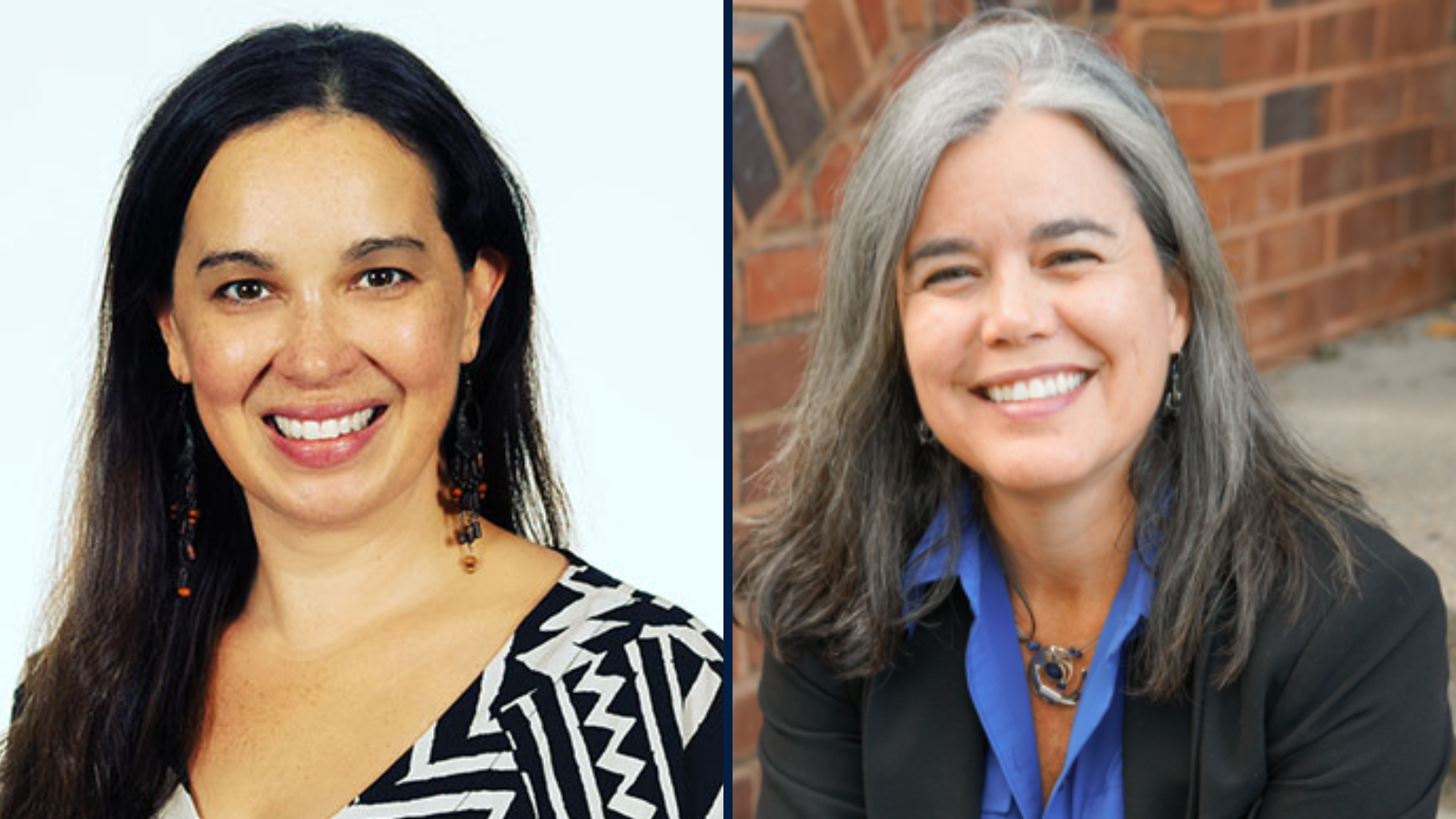 Christina Marea, PhD, MA, MSN, FACNM, and Roxanne Mirabal-Beltran, PhD, RN