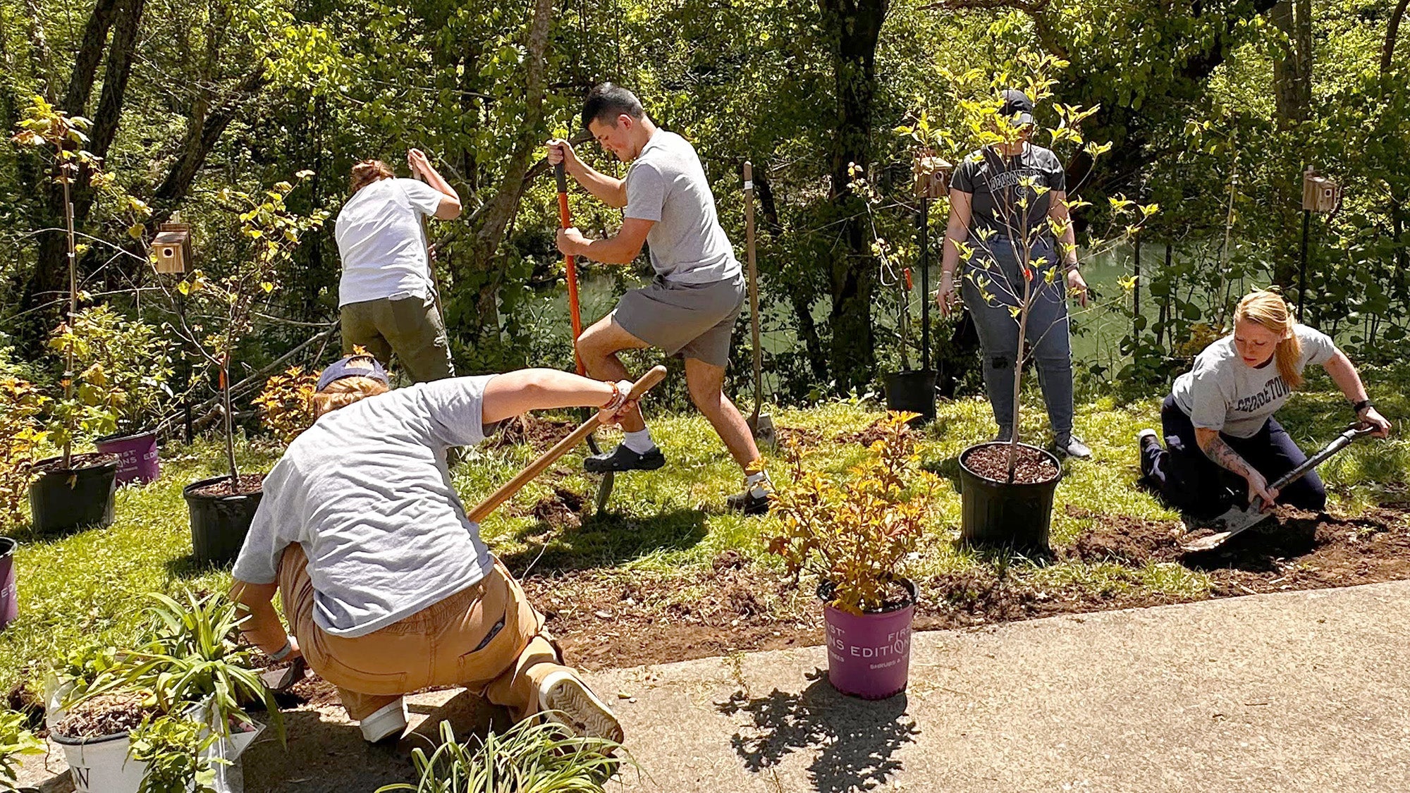 People dig and plant a garden near a concrete pad at a West Virginia high school