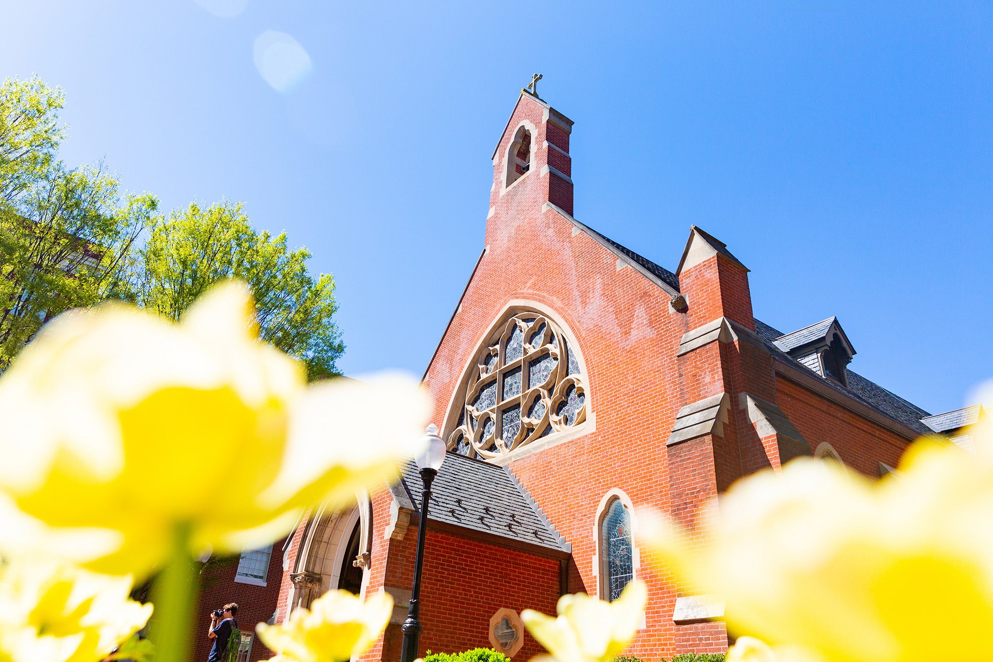 Dahlgren Chapel against a blue sky with yellow tulips in the foreground